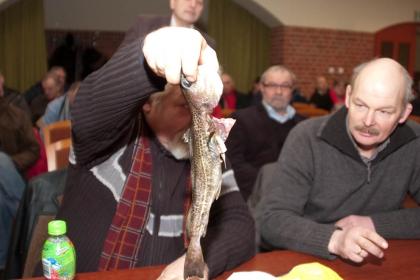 Oceana - Unijni ministrowie muszą opowiedzieć się za odbudową bałtyckich stad ryb